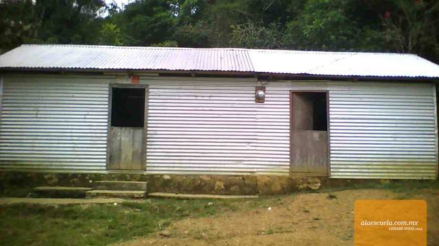 Entrada (vista previa)