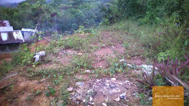 Áreas (vista previa)