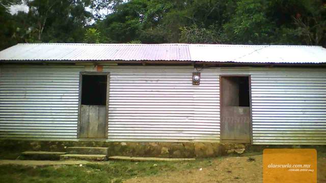 Entrada (vista previa)