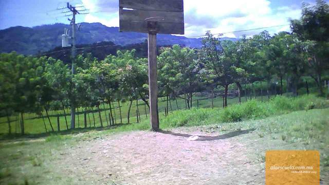 Áreas (vista previa)