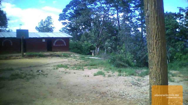 Áreas (vista previa)