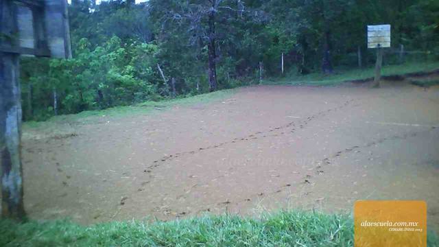 Áreas (vista previa)