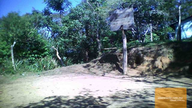 Áreas (vista previa)