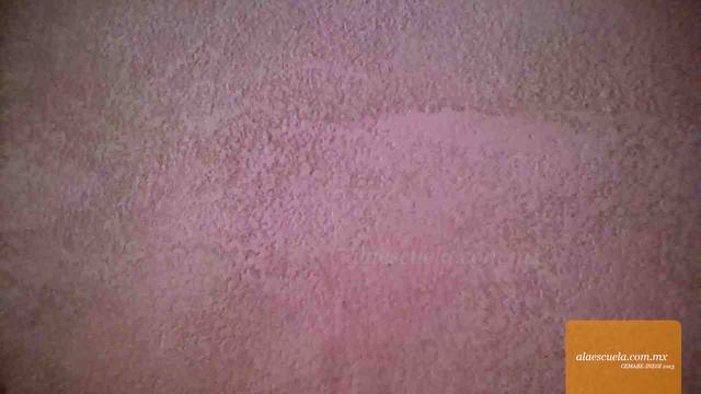 Aulas (vista previa)