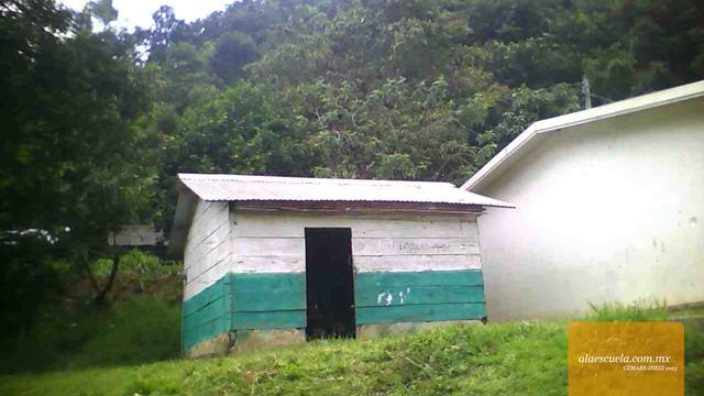 Entrada (vista previa)