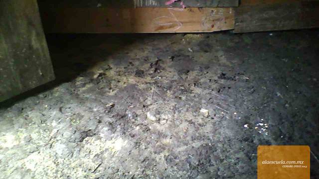 Aulas (vista previa)