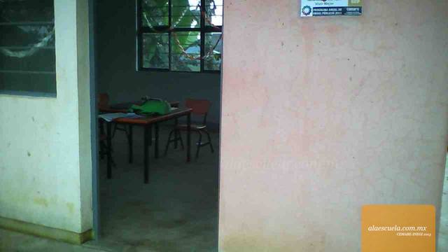 Entrada (vista previa)