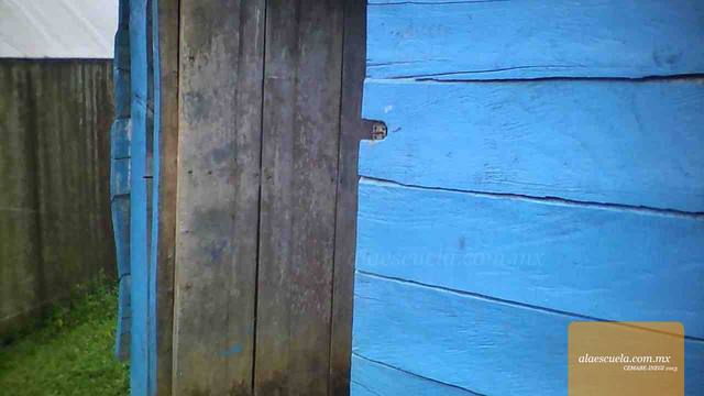 Entrada (vista previa)