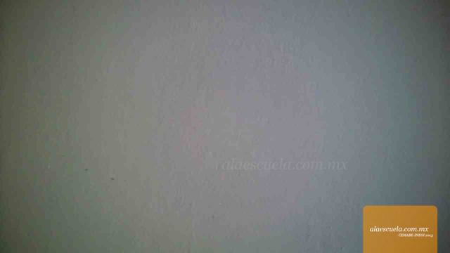 Entrada (vista previa)