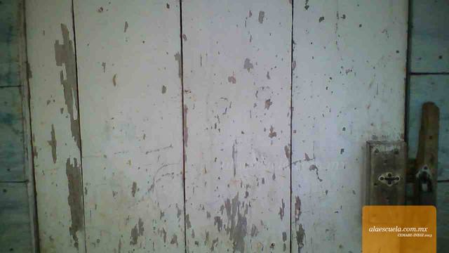 Entrada (vista previa)