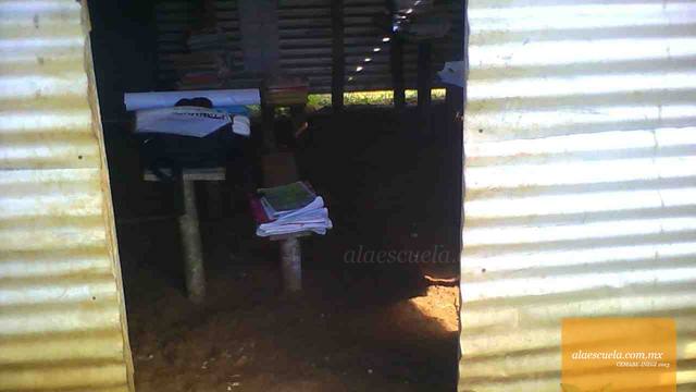 Entrada (vista previa)