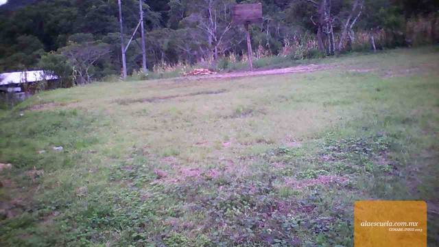 Entrada (vista previa)