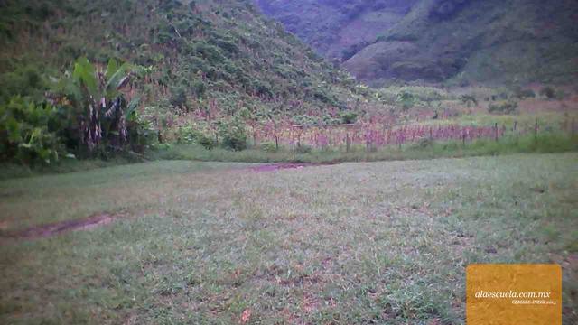 Áreas (vista previa)