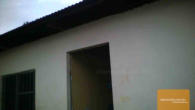 Entrada (vista previa)