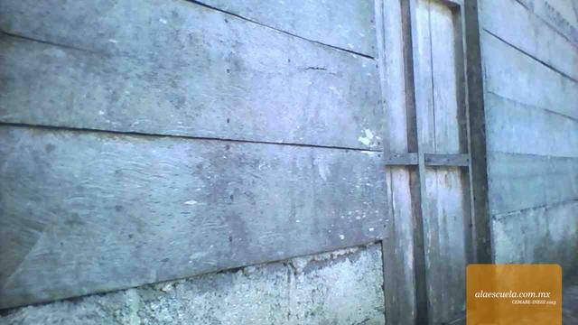 Entrada (vista previa)