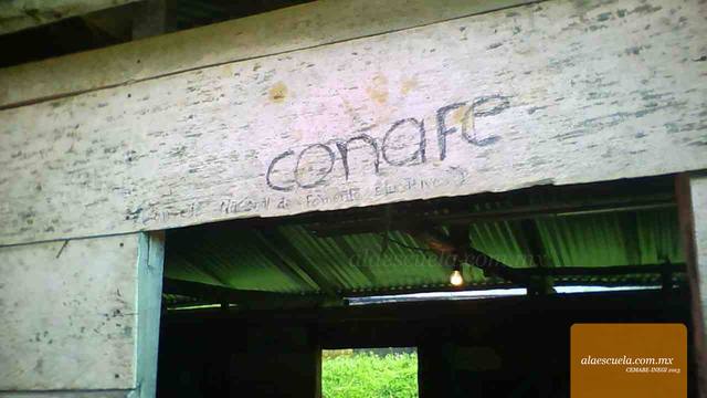 Entrada (vista previa)