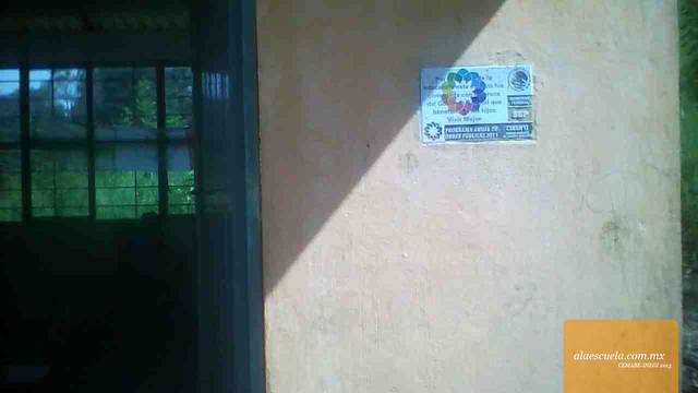 Entrada (vista previa)