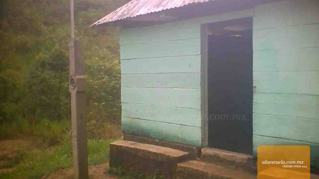 Entrada (vista previa)