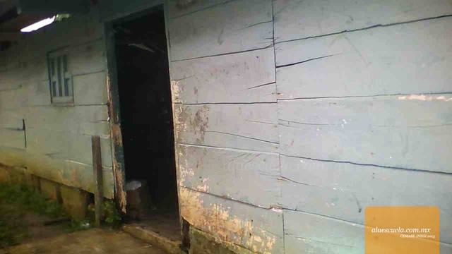 Entrada (vista previa)