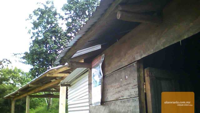 Entrada (vista previa)