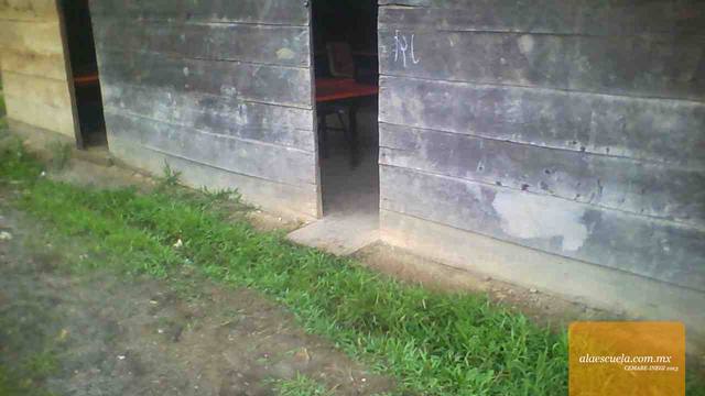 Entrada (vista previa)