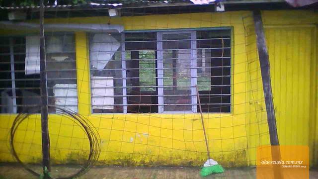 Entrada (vista previa)