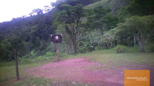 Áreas (vista previa)