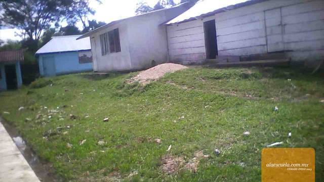 Entrada (vista previa)