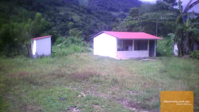 Entrada (vista previa)