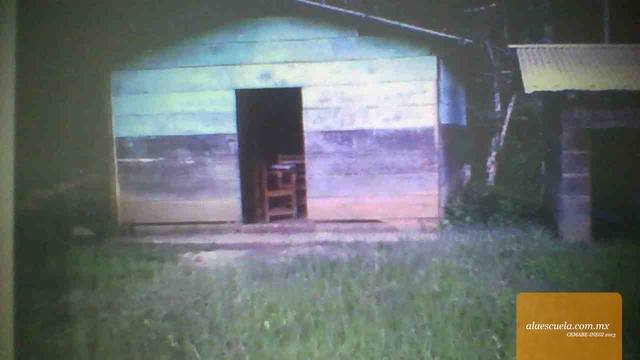 Entrada (vista previa)