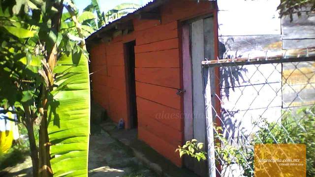 Entrada (vista previa)