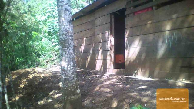 Entrada (vista previa)