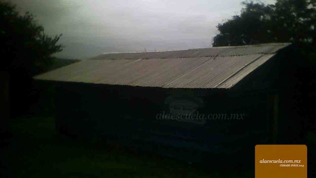 Entrada (vista previa)