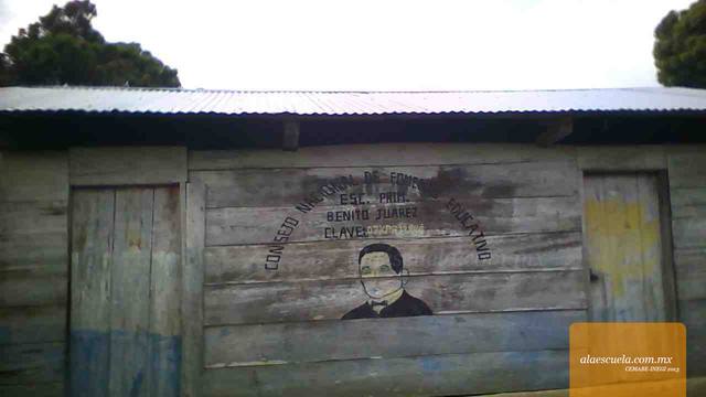 Entrada (vista previa)