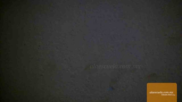 Aulas (vista previa)