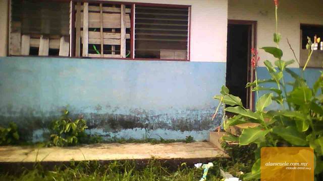 Entrada (vista previa)