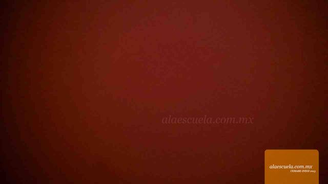 Entrada (vista previa)