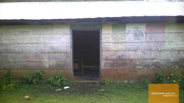 Entrada (vista previa)