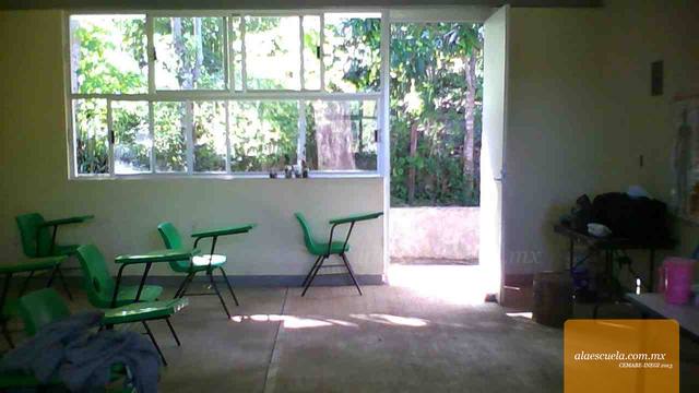 Entrada (vista previa)