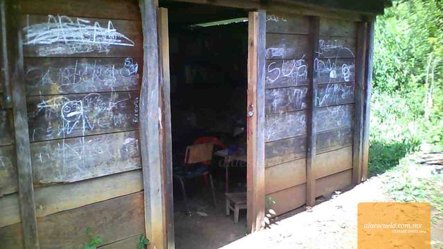 Entrada (vista previa)