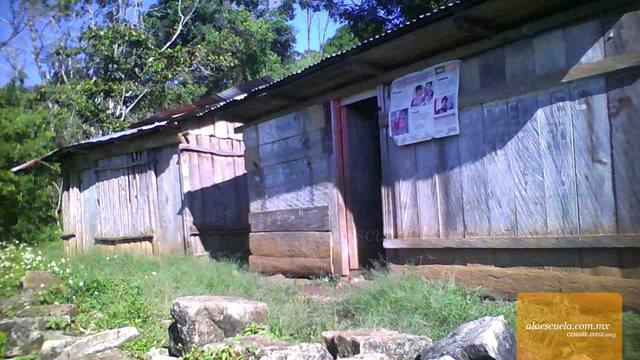 Entrada (vista previa)