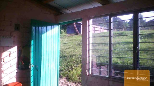 Entrada (vista previa)