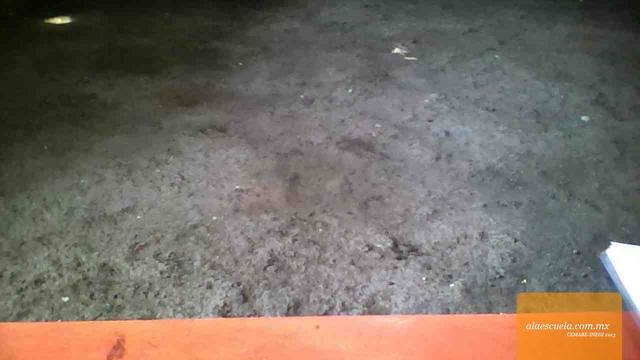 Aulas (vista previa)