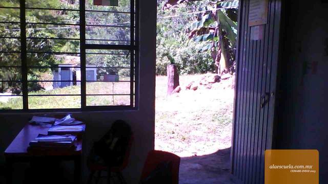 Entrada (vista previa)