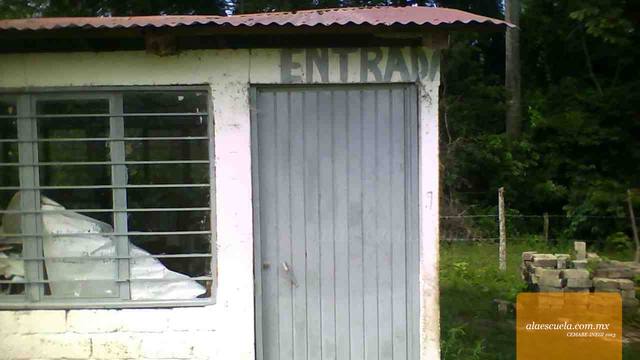 Entrada (vista previa)