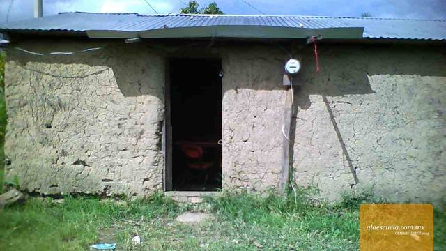 Entrada (vista previa)