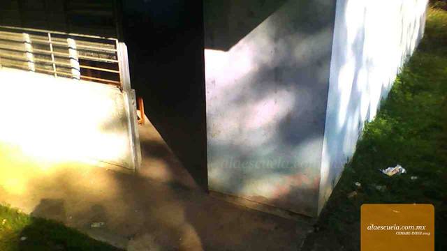 Entrada (vista previa)