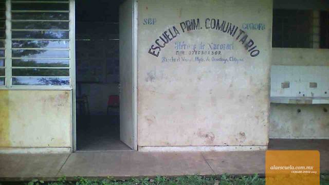 Entrada (vista previa)