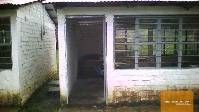 Entrada (vista previa)