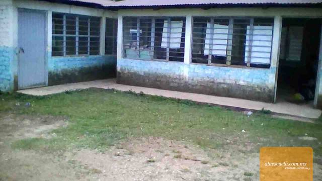 Entrada (vista previa)